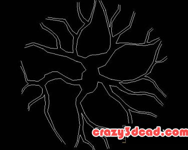 Plants trees autocad blocks 34